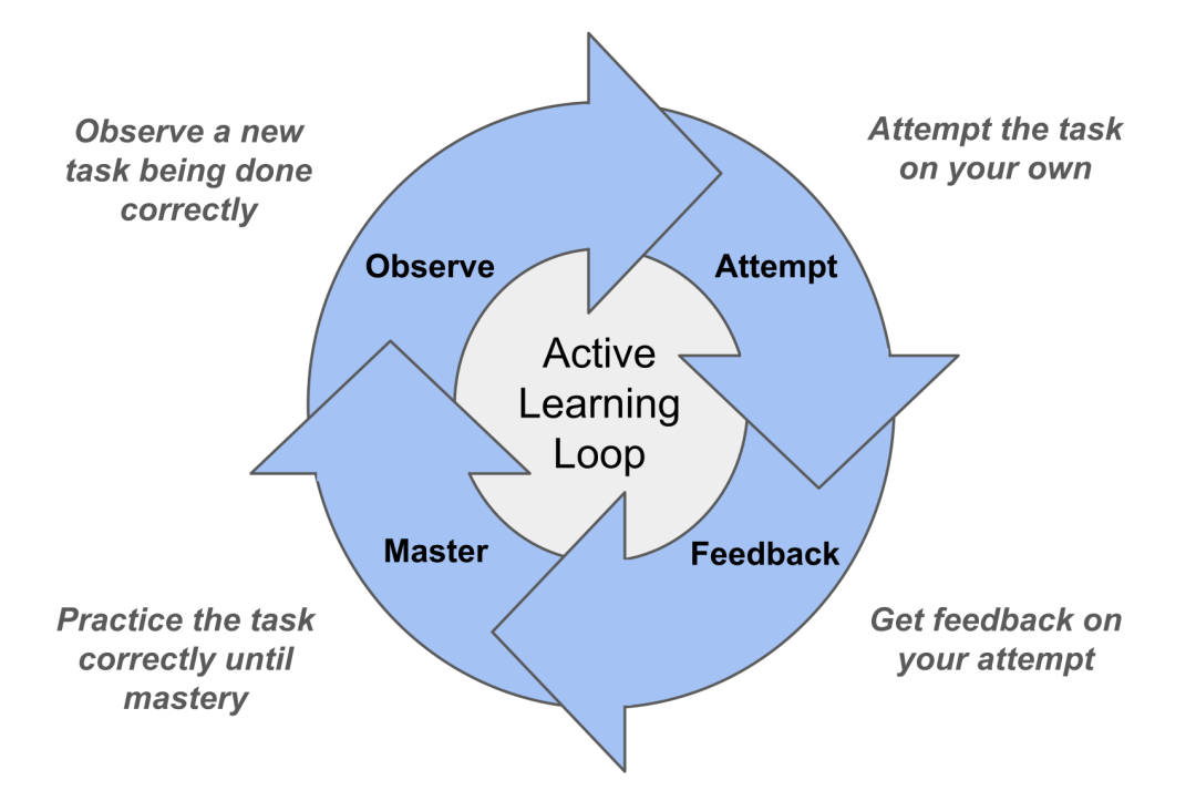 Active Learning Loop